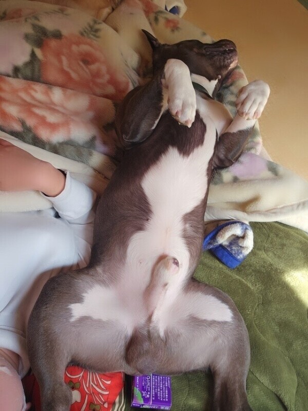 刺激的♡