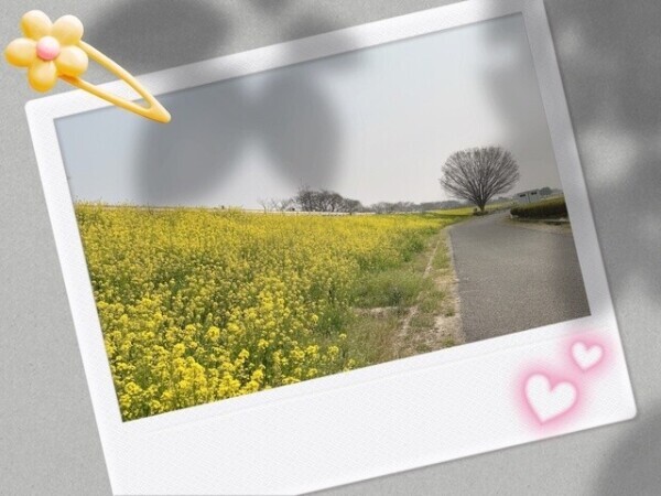 春♬.*゜