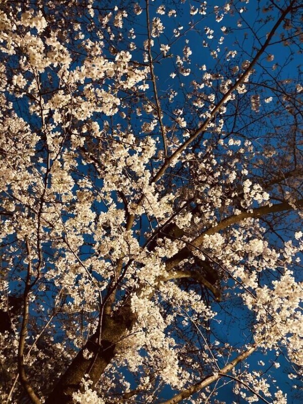 本日からまた出勤です☺️
