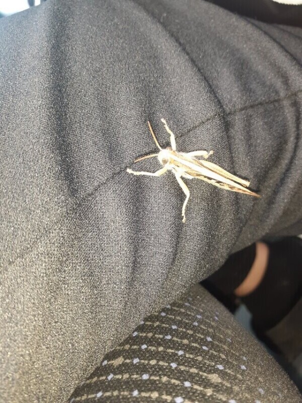 びっくり😲