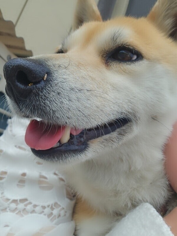 ファンの皆様♡