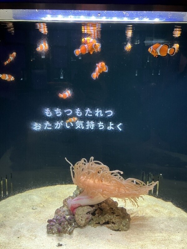 ねーねー╰(*´︶`*)╯♡