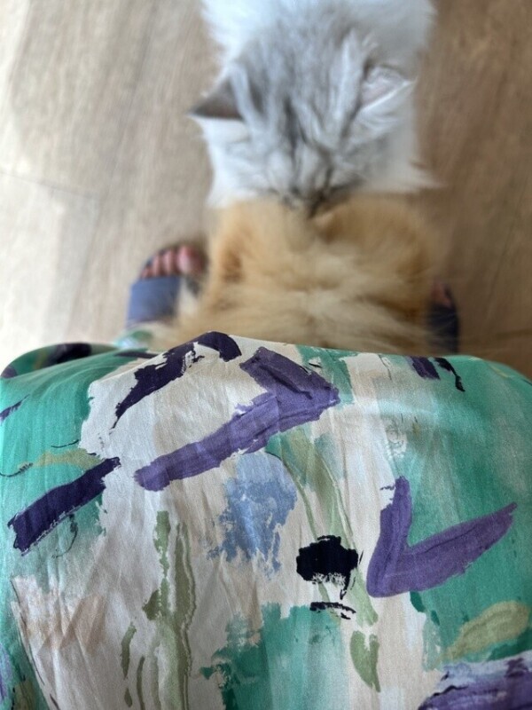 いらっしゃいませー、いらっしゃいませー。