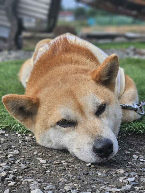遊んでくれないと、、、