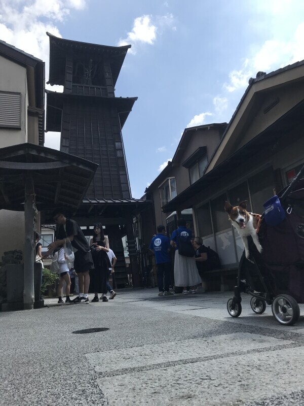 無事帰宅( • ̀ω•́ )ゞ