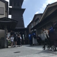 るい