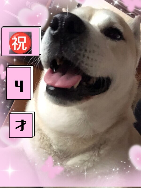 ４才