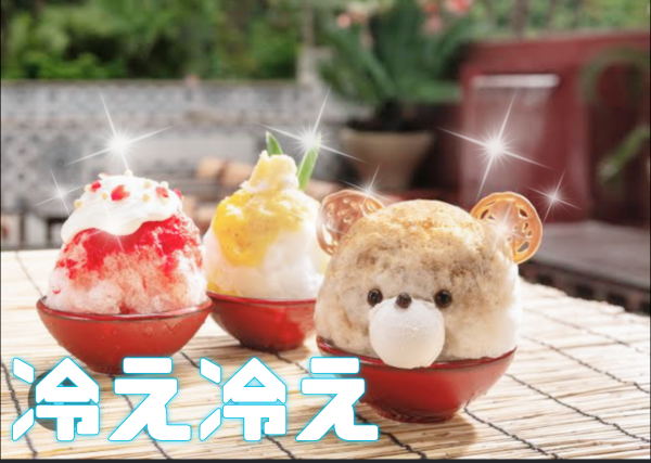 今日も……