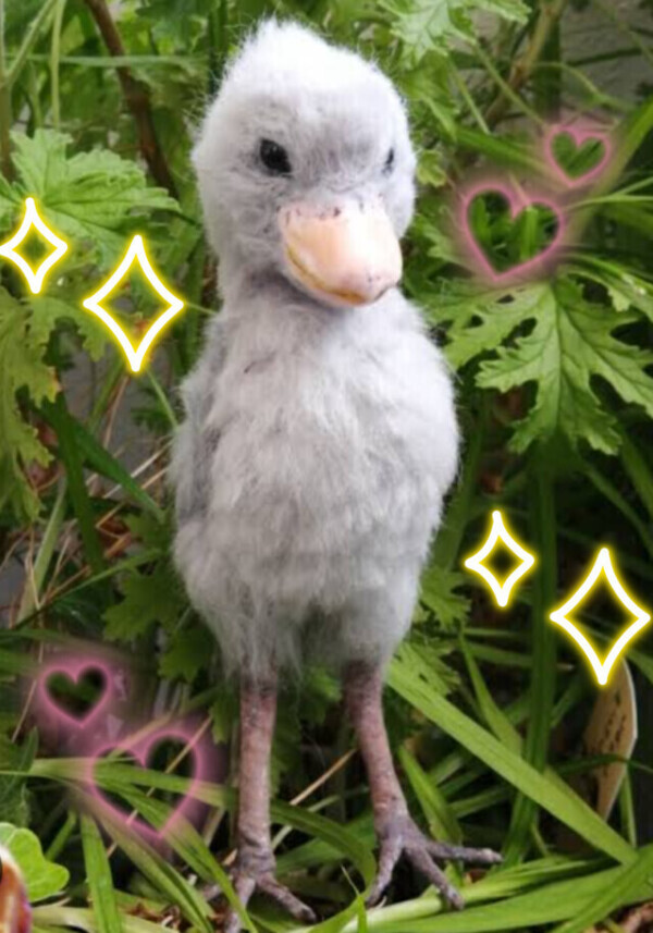 かわいい♡凄くかわいい♡