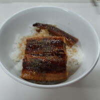 こずえ
