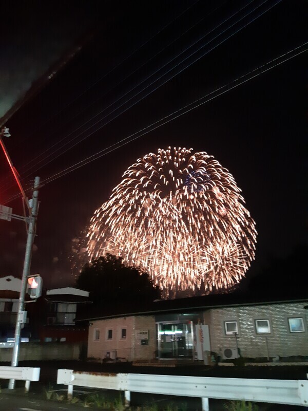 しっかり見れました