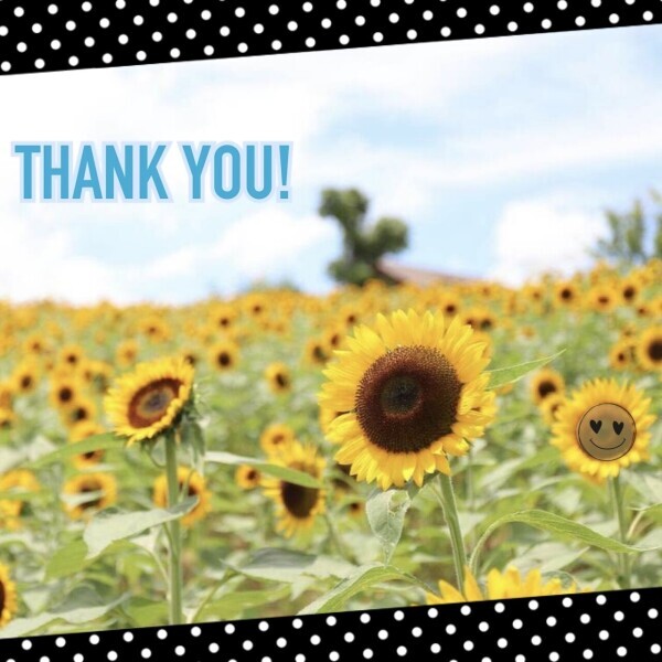 ストレッチ期間