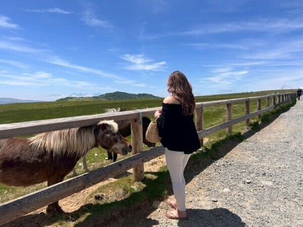 みんなにお願い♡