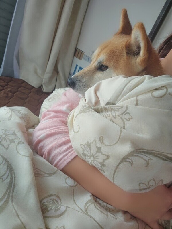 赤ちゃん出来ました♡