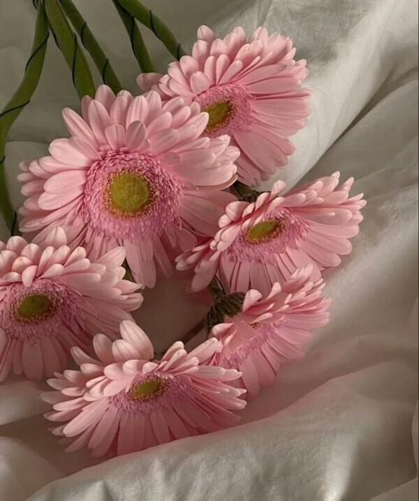 優しいパパに包まれて♡