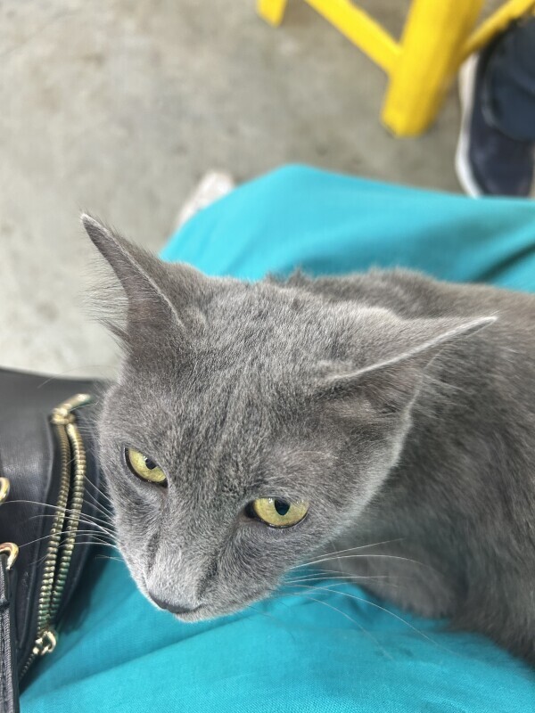 向かっています残り1枠