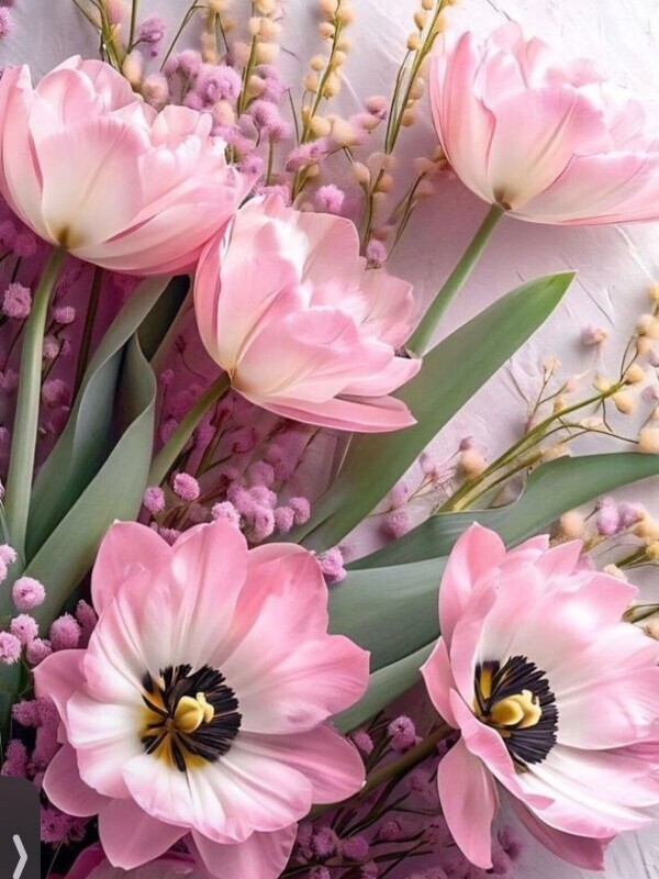 大人の秘密実験