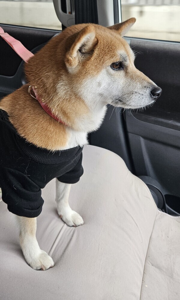 地元ありがとう♡