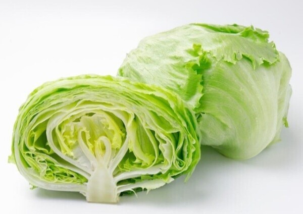 レタス大量消費