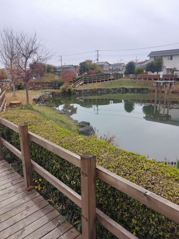 肌寒い朝ですね