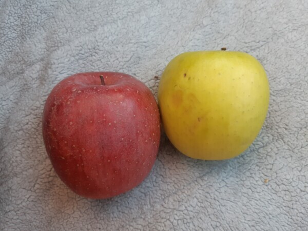 今週はのんびり