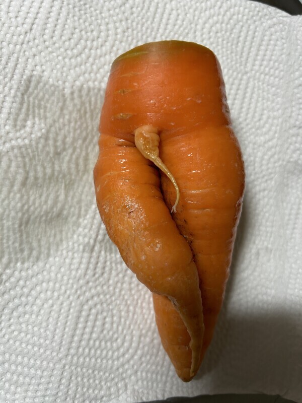 さすがに、、、