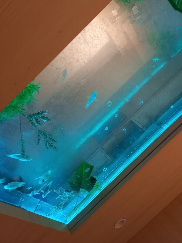 教えてくれてありがとう