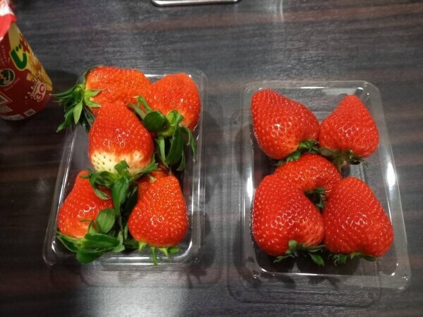 美味しかったです