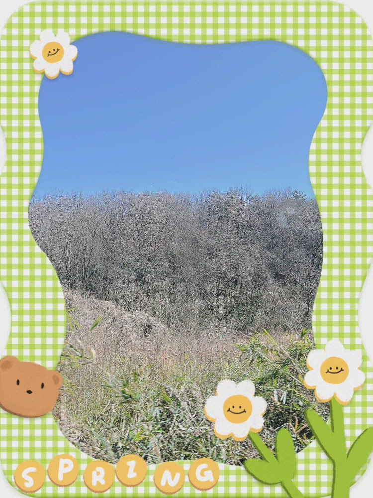 春の陽気( ˊ͈ Δ ˋ͈ )