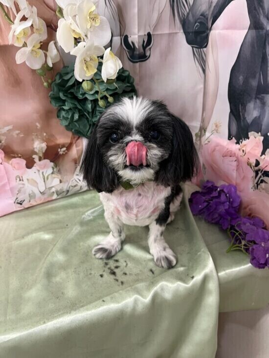 ラスト空いてるよー