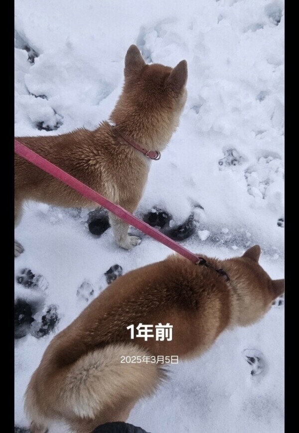 一年前の今日は何の日？