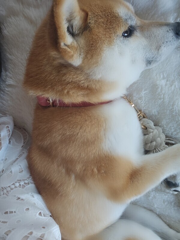 小さなお友達♡