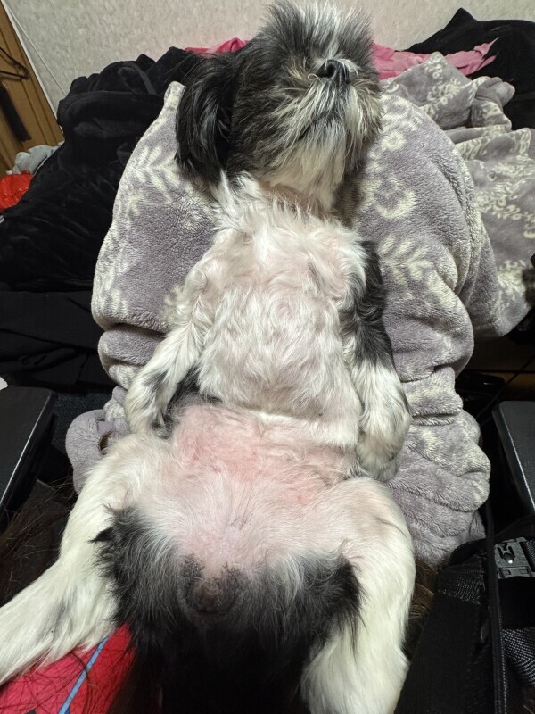 おはようございますっ