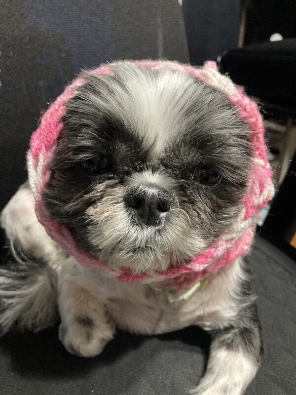 お兄様お仕事お疲れ様です