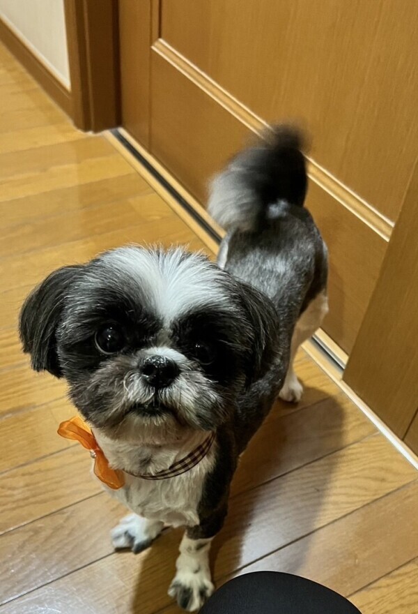 おはようございます