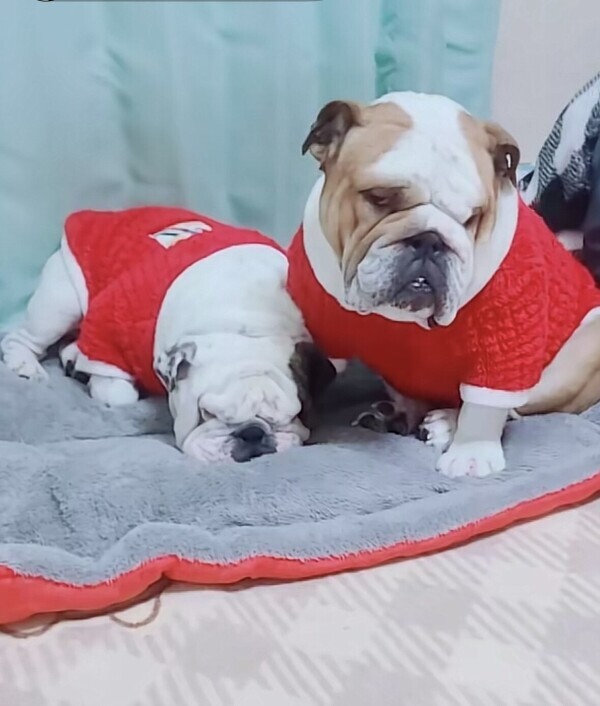 明日は金曜日🫶