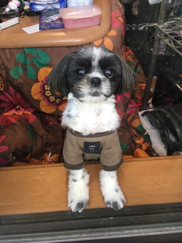 お腹いっぱいだー