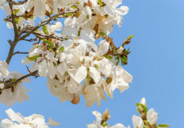 お礼♡写指 オットー N様♡