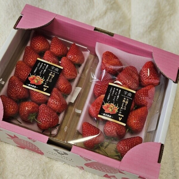 いやらしく滴る……／／♡