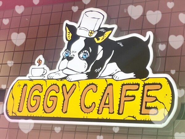 私の推しは、この子です