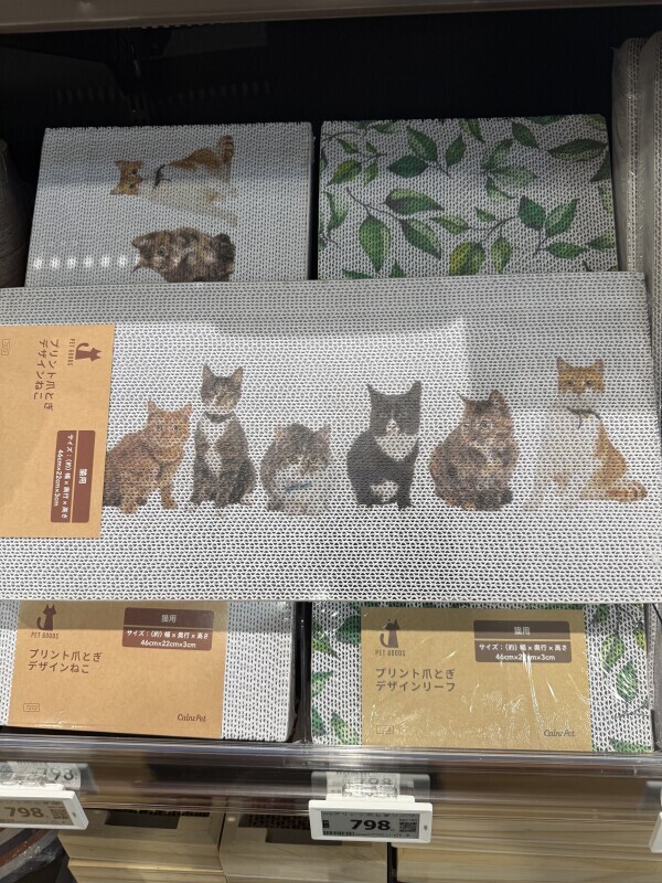 えーーー！