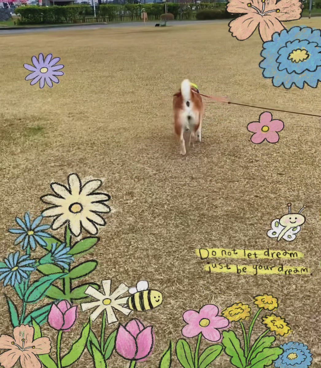 プリプリ～