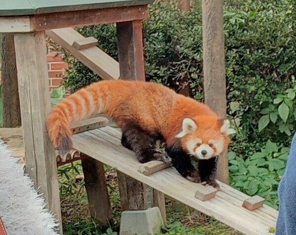 今日も一緒に頑張りましょうね♡