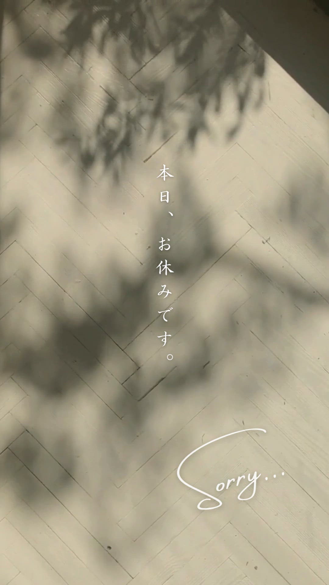 今日はお休みです