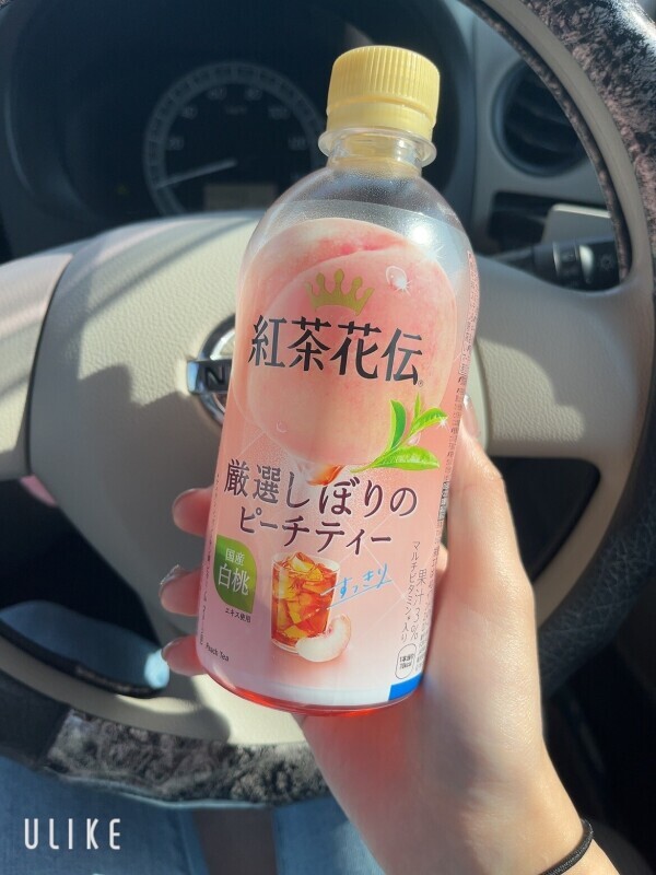 出勤しますよーん