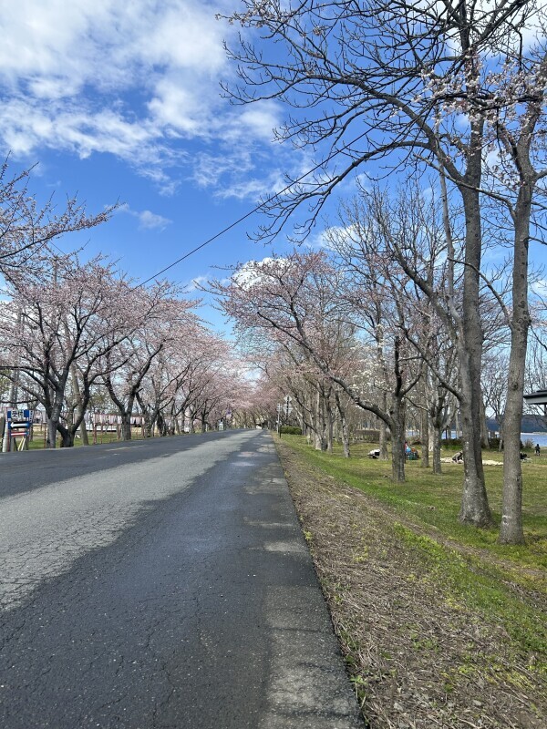 くまだん