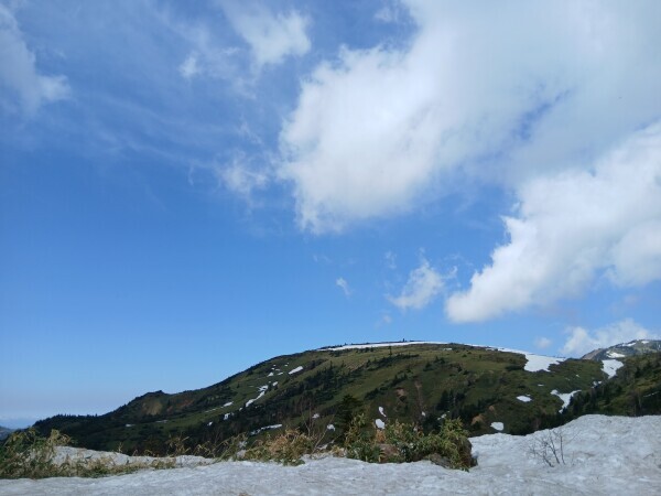 今日も出勤