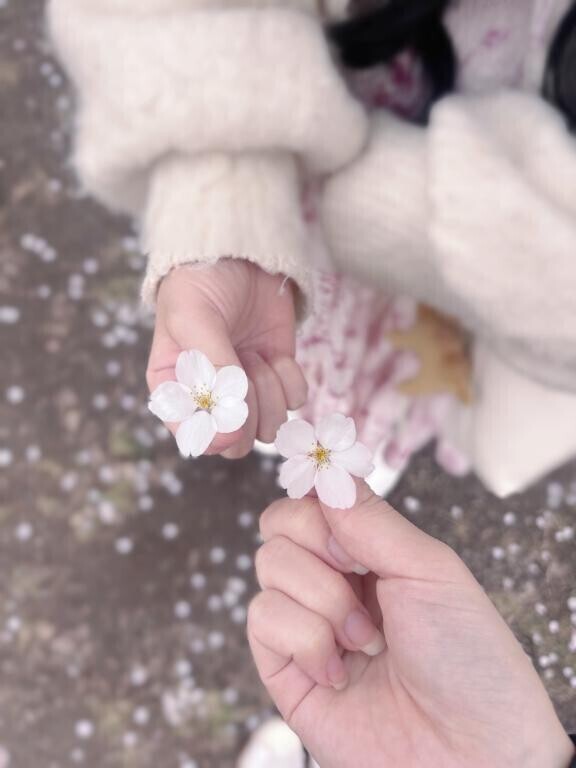 ごめんなさい??