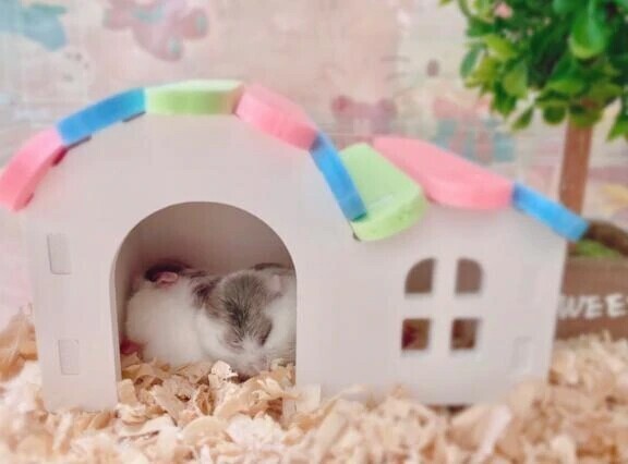 ‎🤍次回と色々🤍