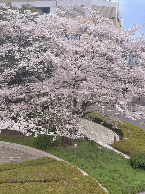 お出かけ☺️